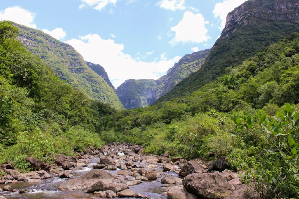 The dramatic steep cliffs of Canyon Malacara cutting through the dense Atlantic forest