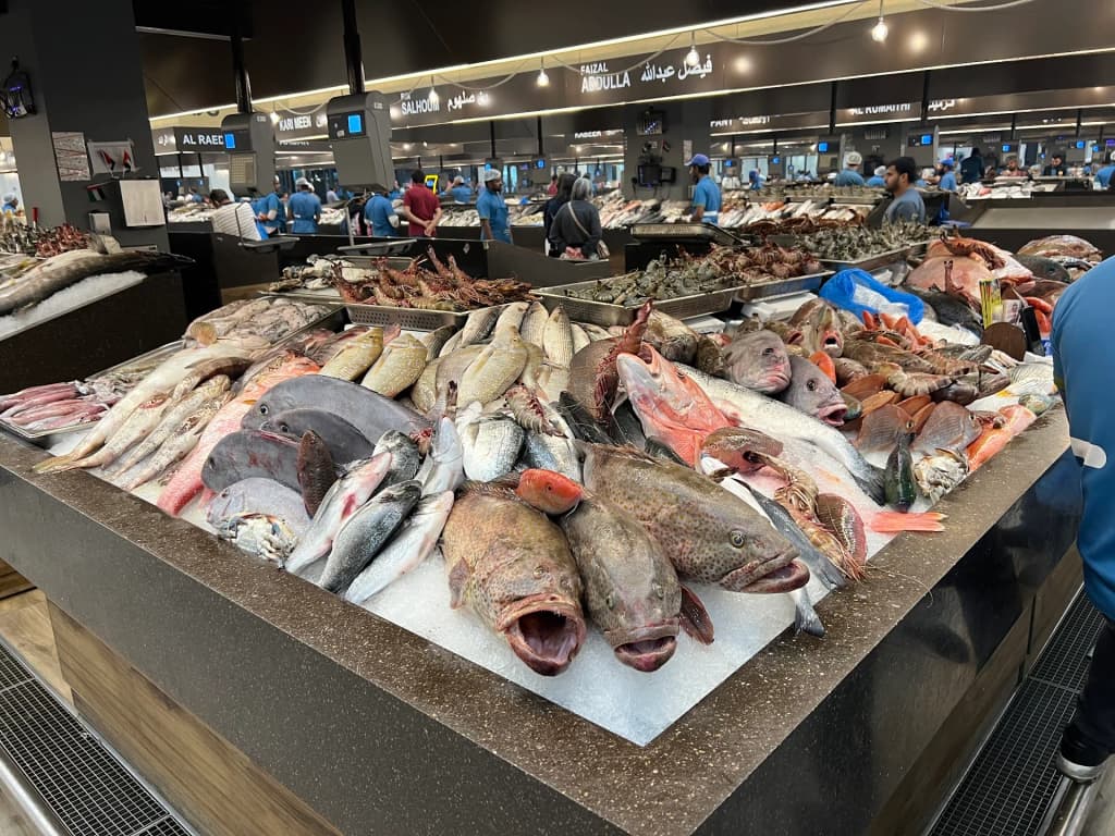 Fish Market - Mina Zayed - Photo by Faizal Vally