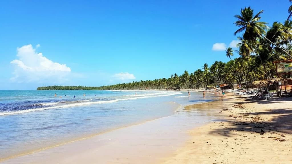 Cueira - Photo by Bob Ramos