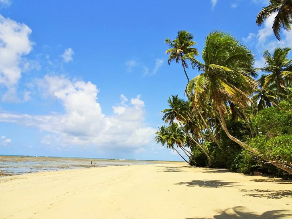 Costão selvagem na Ponta dos Castelhanos