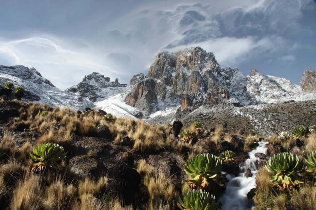 Mount Kenya National Park - Photo by Stephen Ngigi