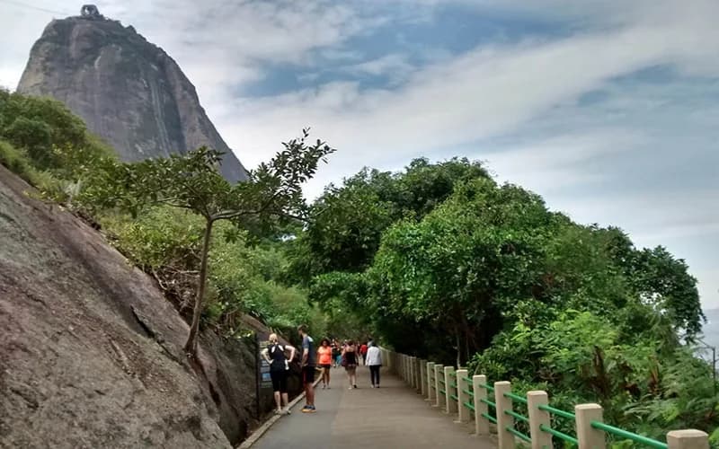 La selva atlántica rodea la Pista Cláudio Coutinho