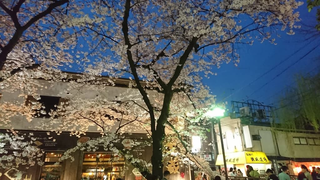 Edificios tradicionales de madera en el distrito Gion de Kioto