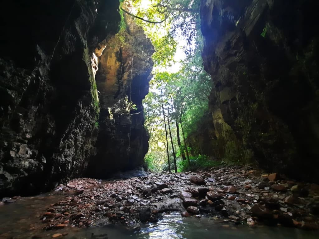 Trilha verdejante rumo ao Salto Andorinhas em Ascurra