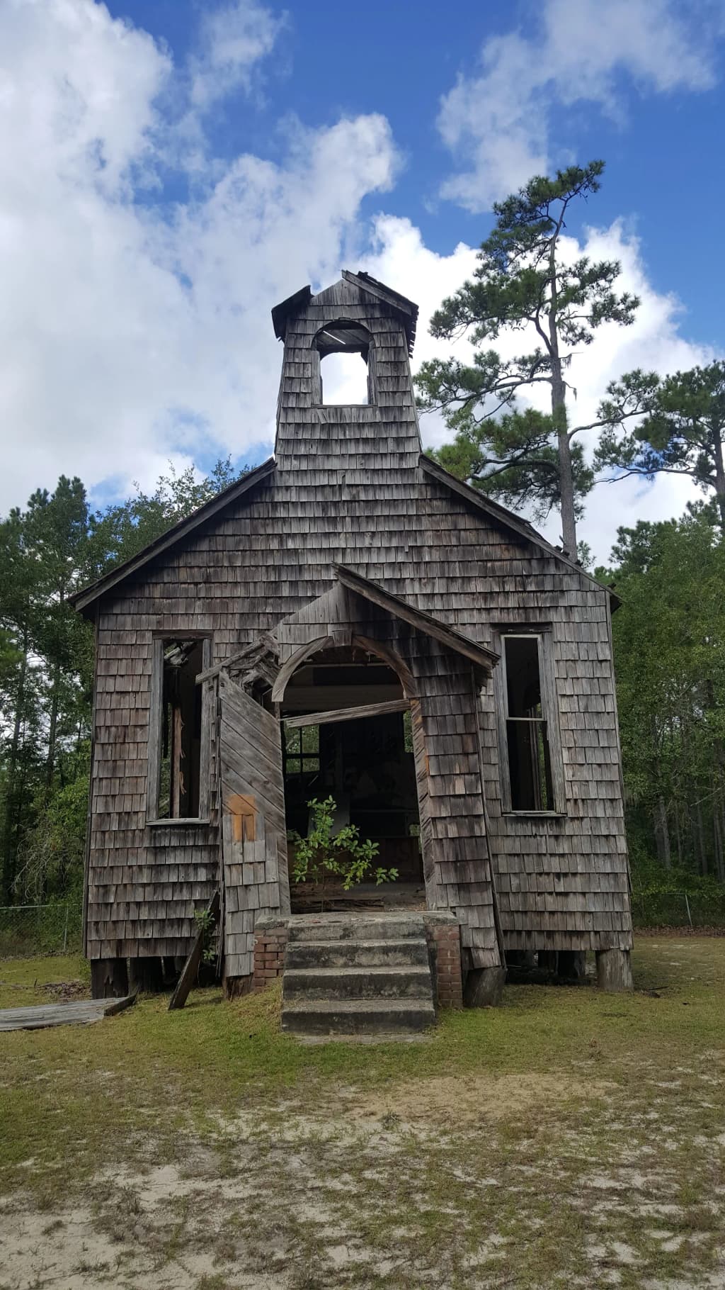 Francis Marion National Forest - Photo by Jan Popowski