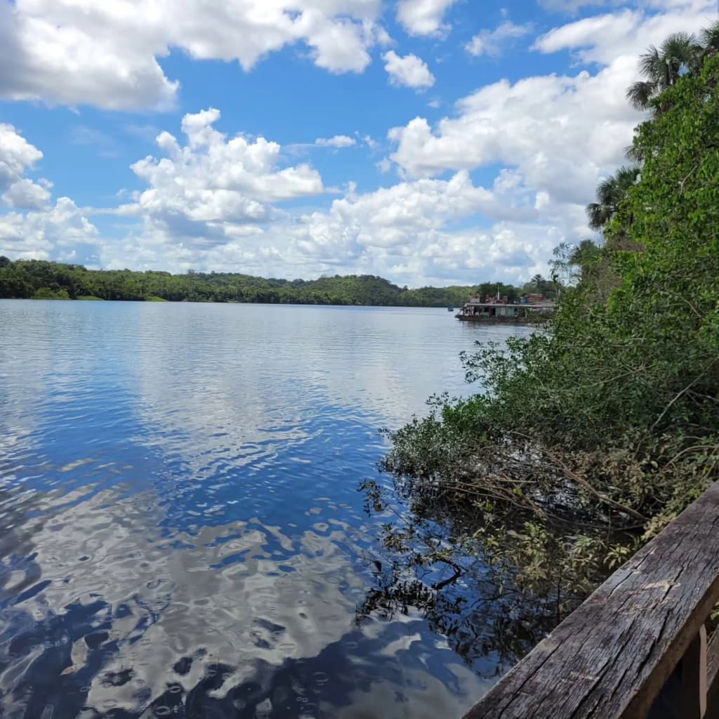 A wild bend in the rushing waters of the Oyapok River