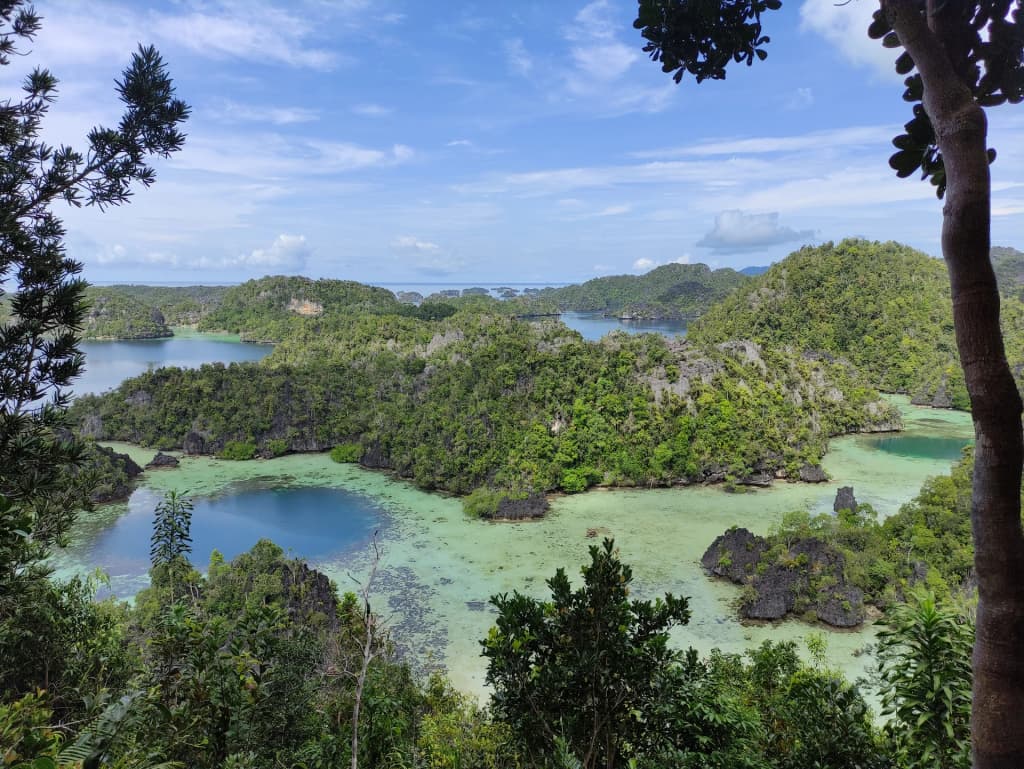 Borobudur Temple at sunrise, shrouded in mist