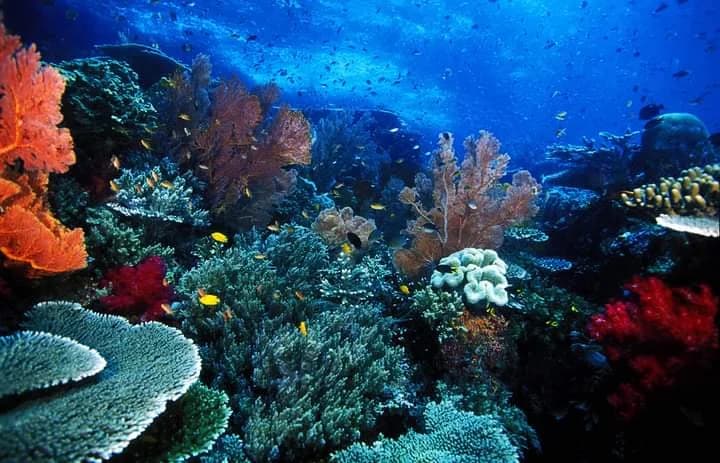 Gili Islands: turquoise water, white sand, and swing at sunset