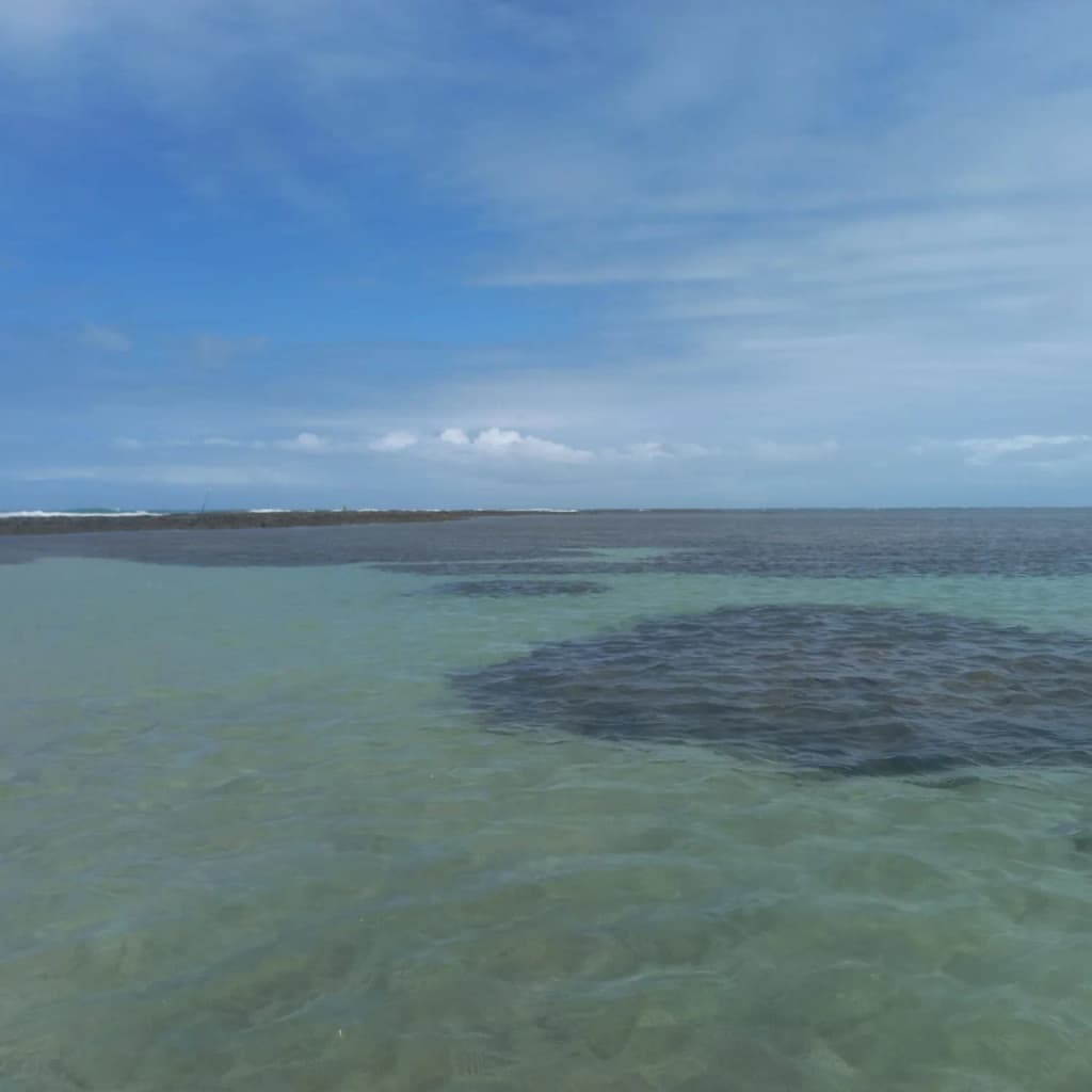 Natural pools glowing in the morning light, São José da Coroa Grande