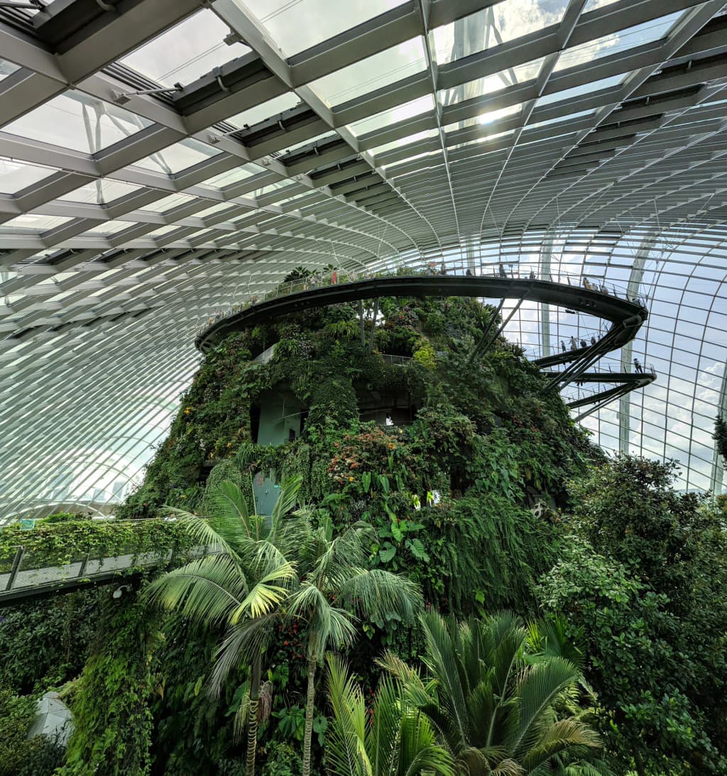Gardens by the Bay Supertrees at dusk
