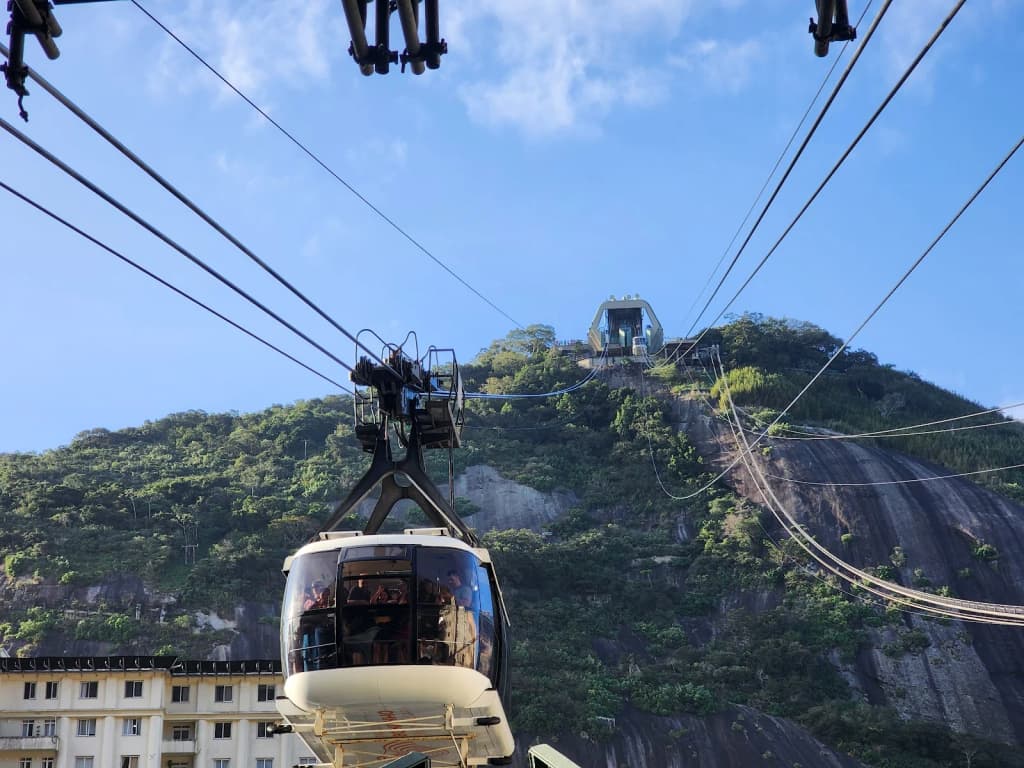 Trilha em meio à floresta densa, luz filtrando pelas árvores