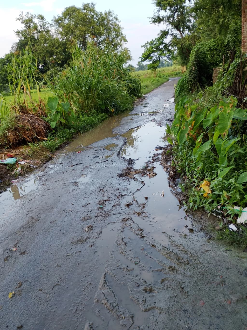 Prayer flags fluttering on a Himalayan ridge, snow peaks in the background