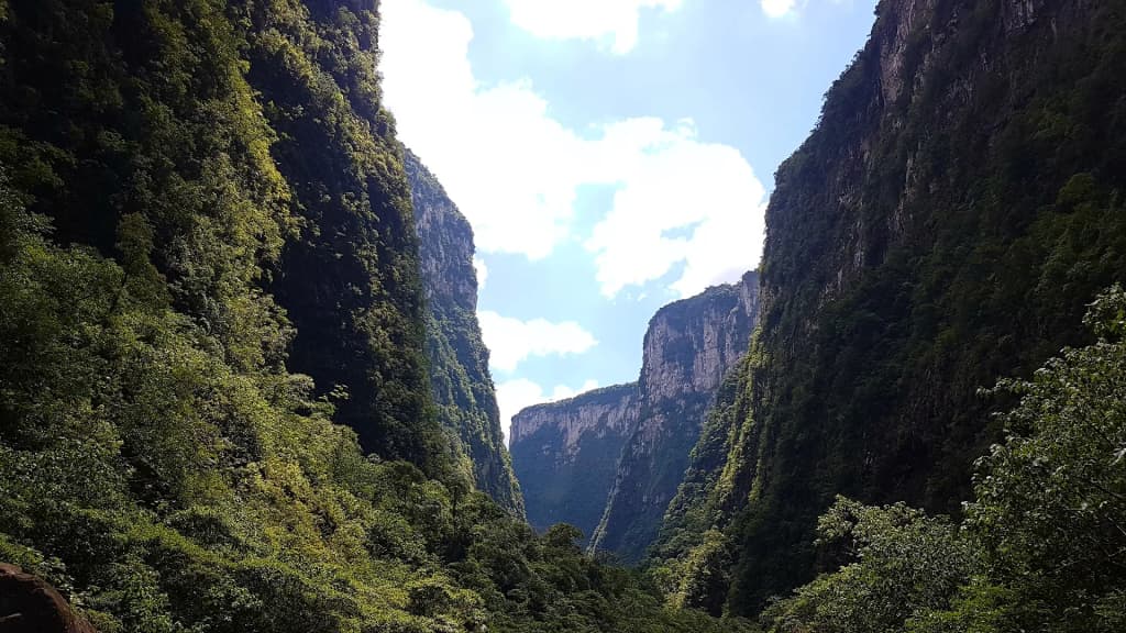 Canyon walls at Aparados da Serra National Park