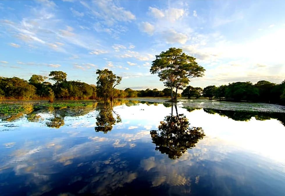 Caminhão de safári cruzando as planícies alagadas do Pantanal