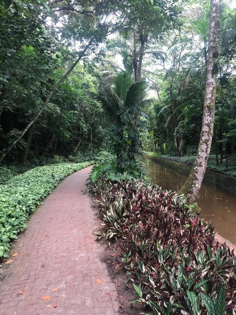 Piscina natural da Praia das Conchas, pedras e água cristalina