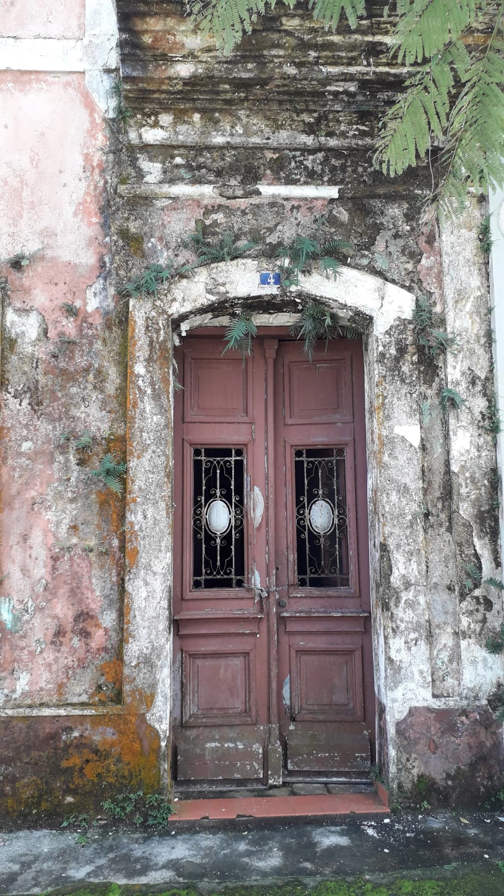 Colonial church and cannons in Cananéia's historic center