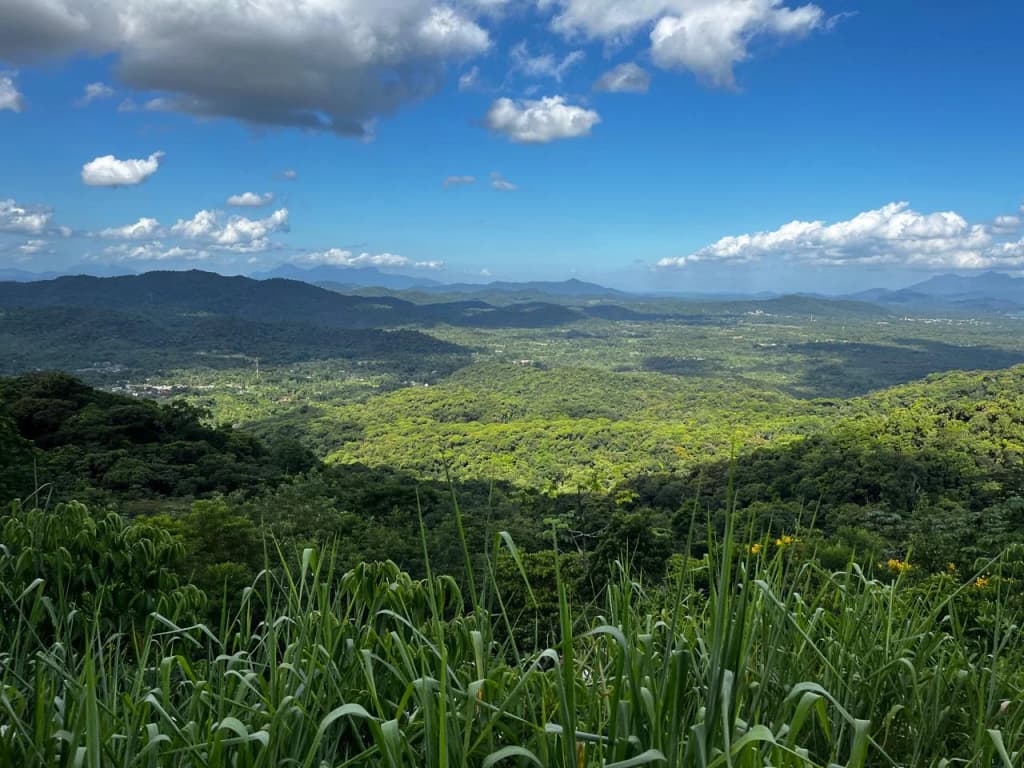 Serra Verde Express - Photo by Márcia Akemi