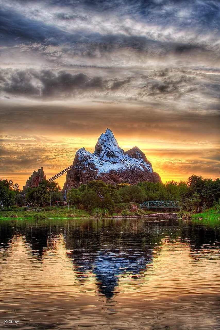 Tree of Life at Disney's Animal Kingdom