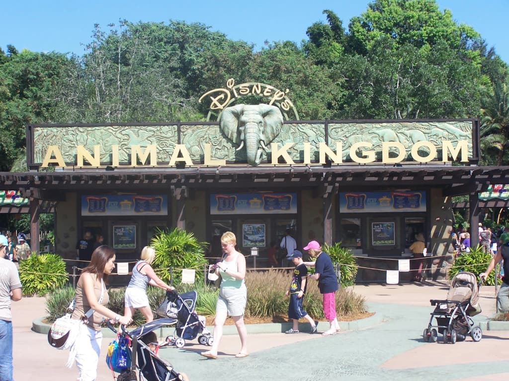 Disney's Animal Kingdom Theme Park - Photo by Charles Klock