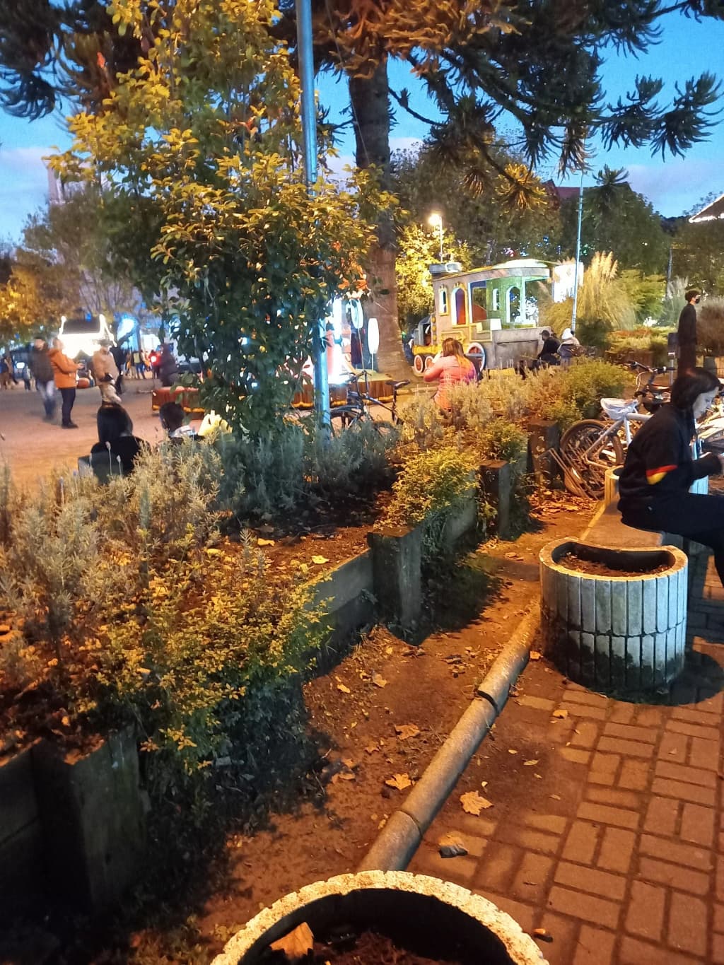 Capivari - Photo by Odair Alonso