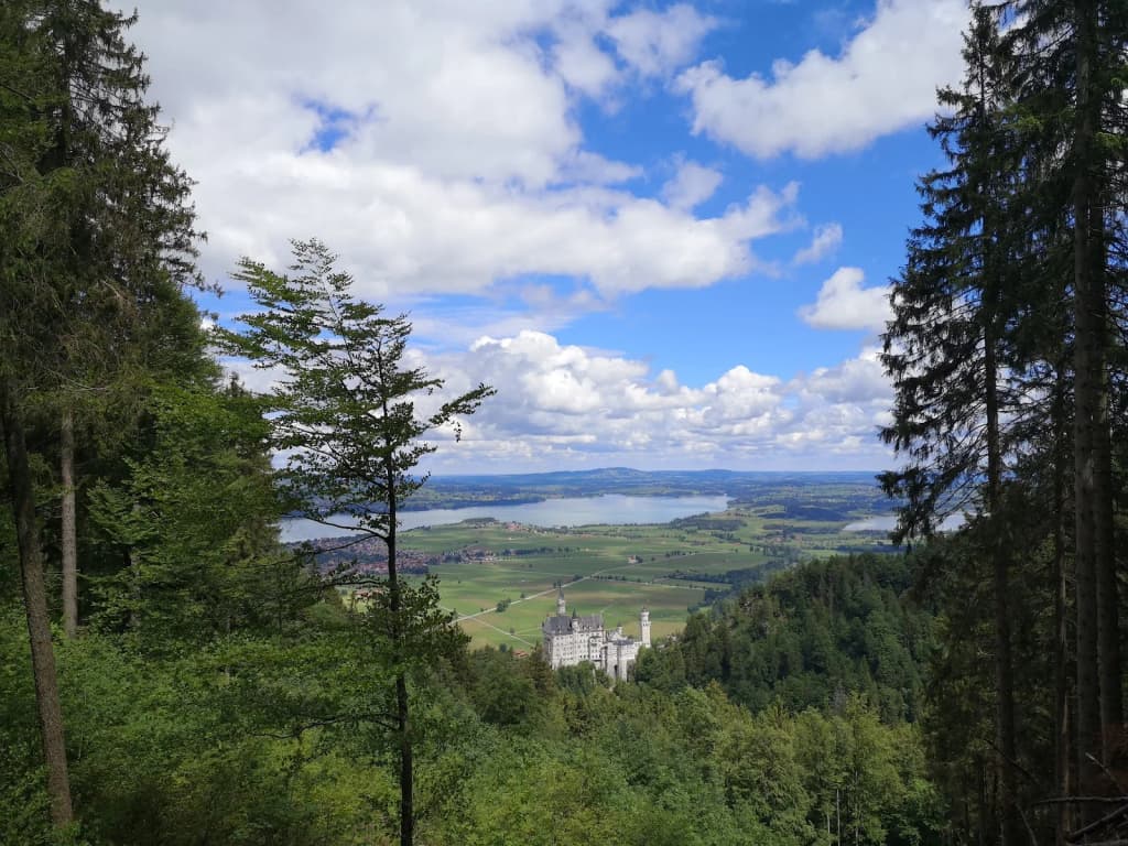 A cyclist rides through a vineyard above the Rhine, with a medieval castle in the distance