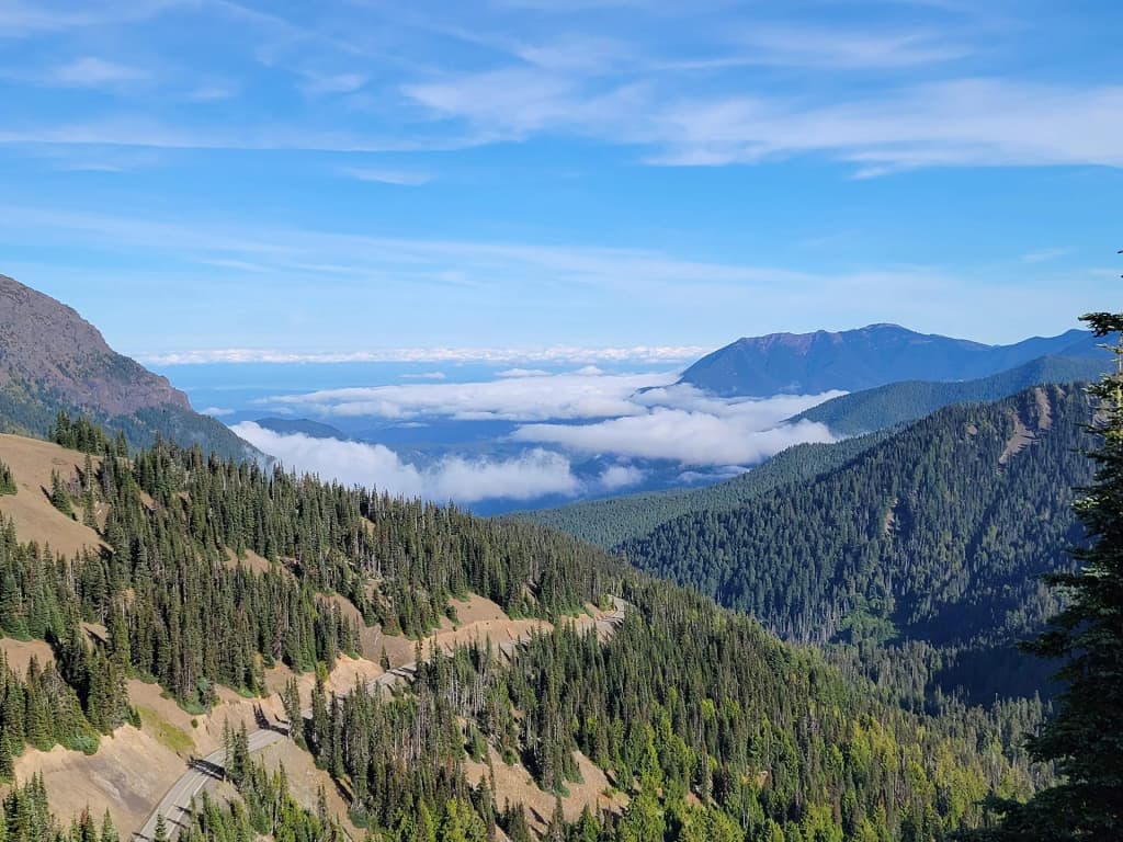 Mount Rainier's wildflower meadows in full bloom