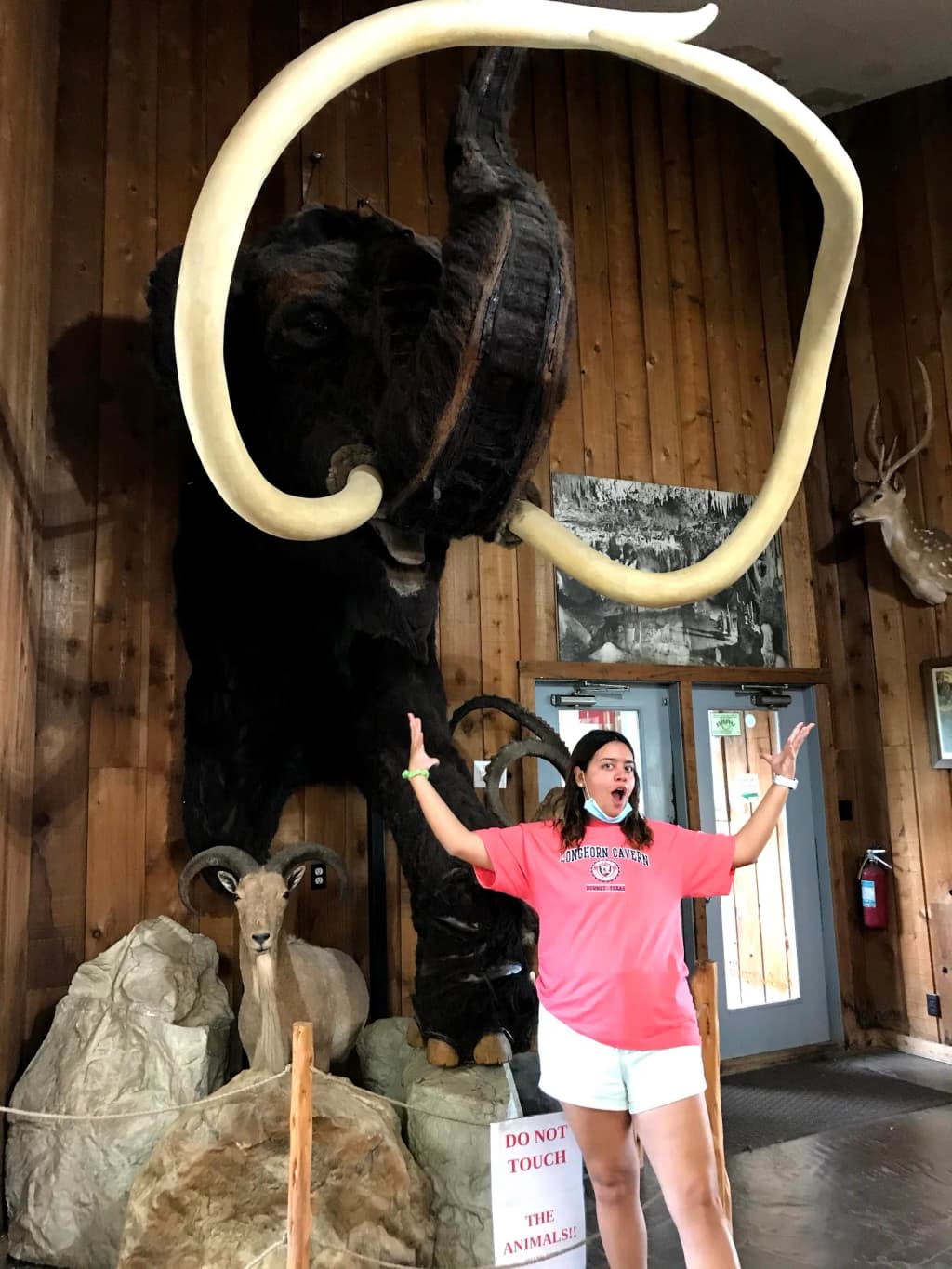 Inner Space Cavern - Photo by Fourteen Records