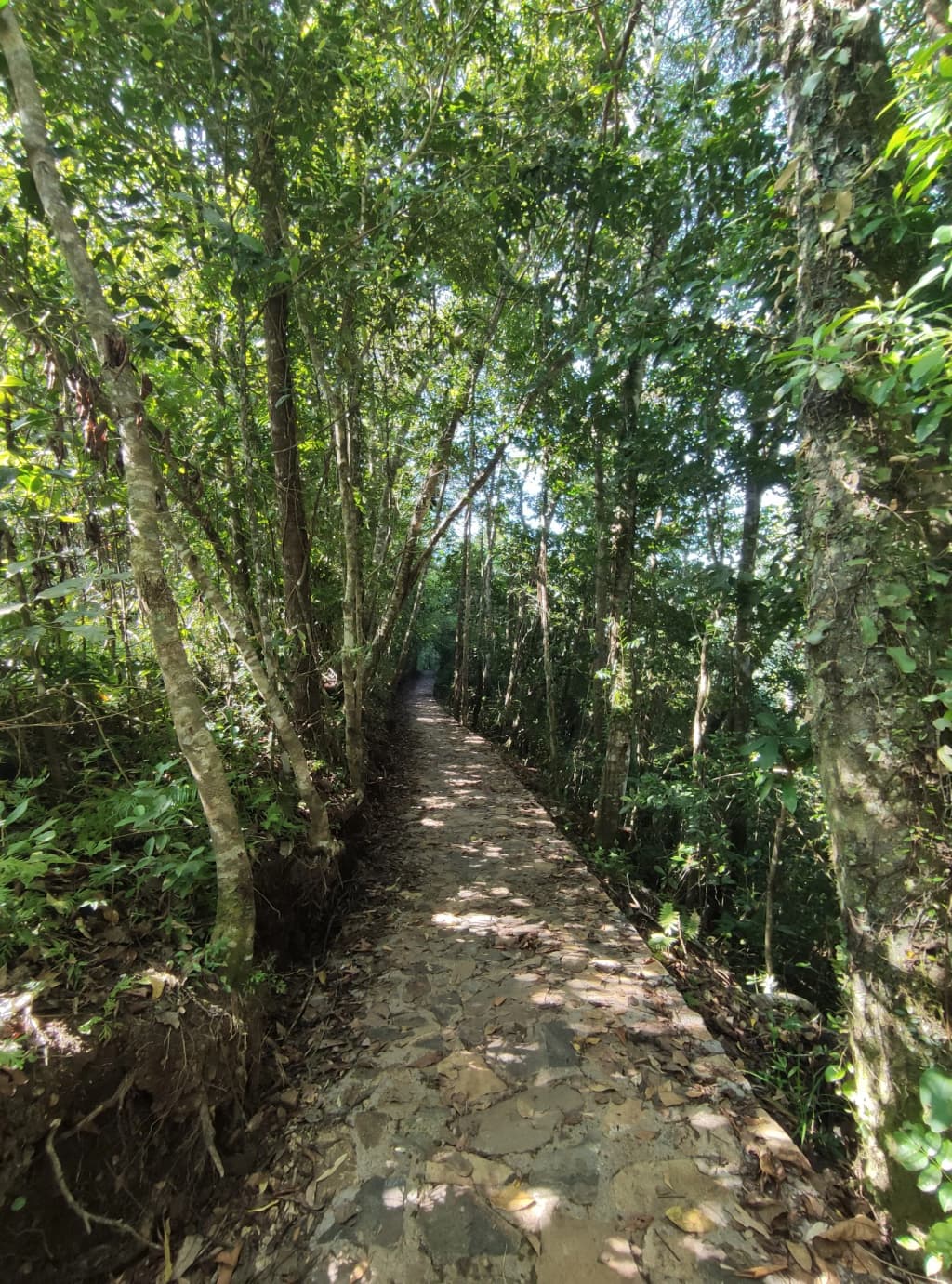 A group of travelers and villagers sharing a meal inside a traditional house