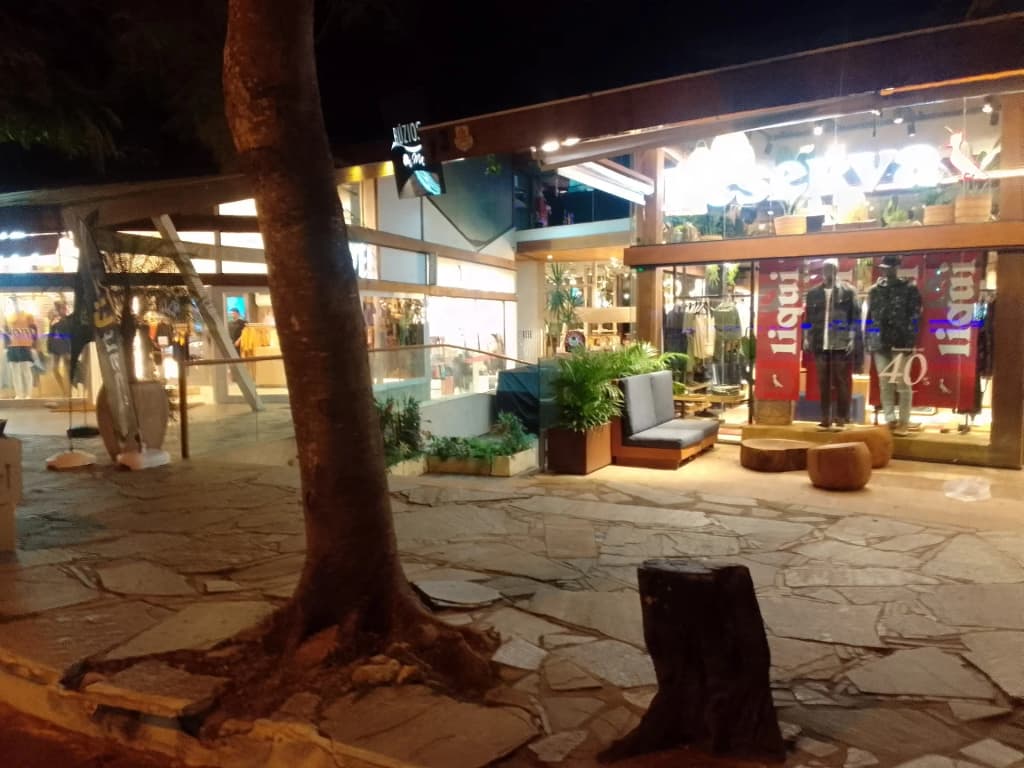 Colorful boats and Orla Bardot at golden hour