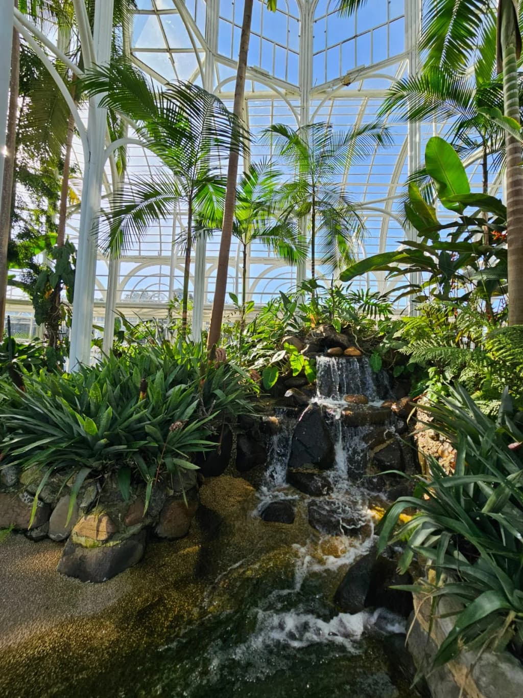 Jardim Botânico Municipal de Curitiba - Photo by Rafaella Dahm