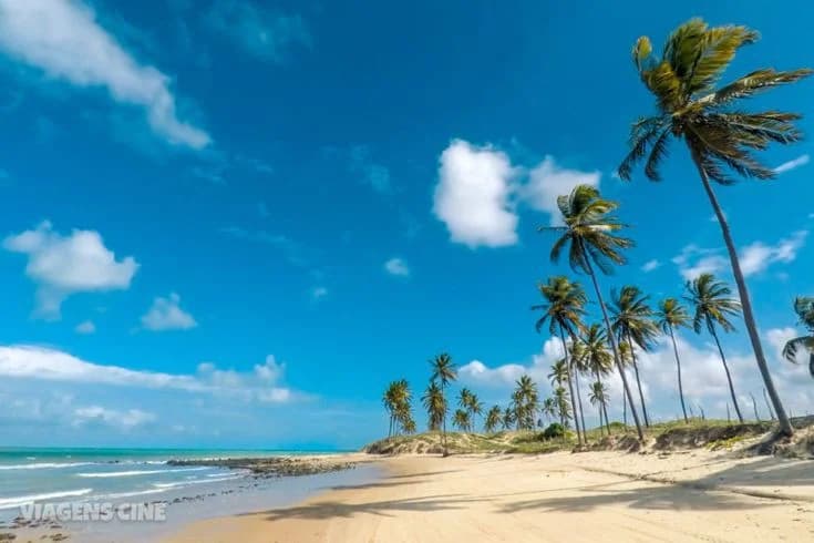 Quad bikes lined up on the dunes of Maracajaú