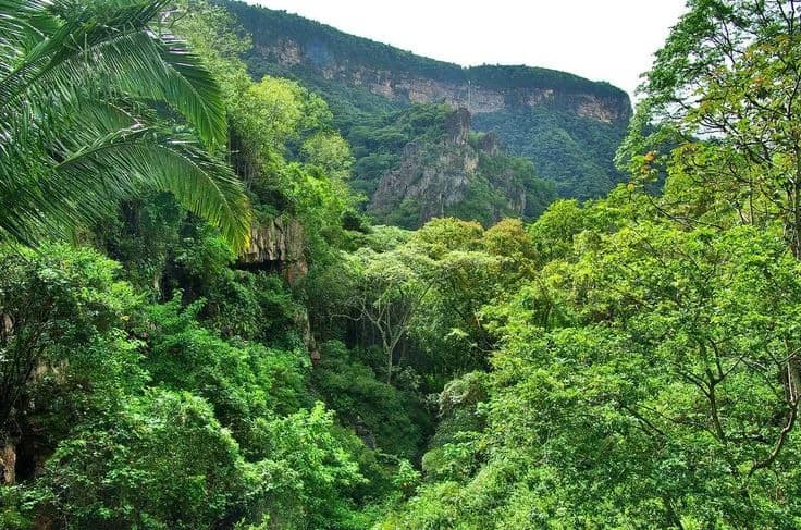 Ubajara National Park lush cliffs and forest