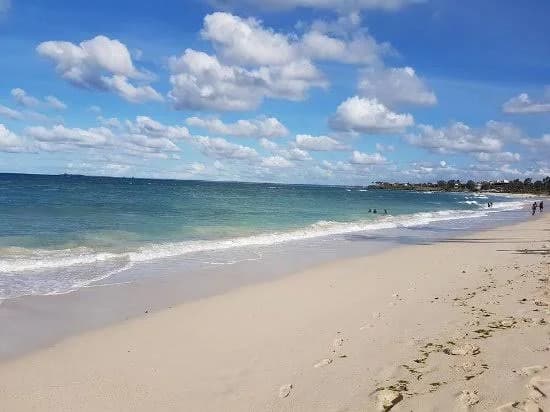Baobabs gigantes y sabana dorada en Tanzania