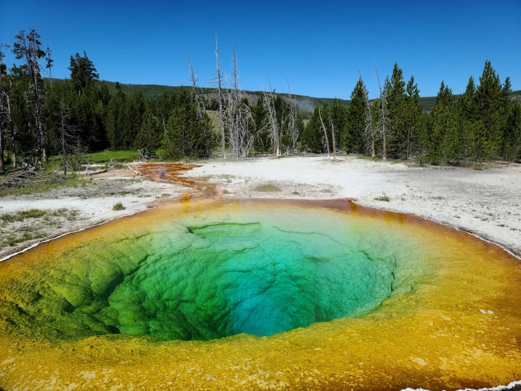 Yellowstone National Park - Photo by D Soffer