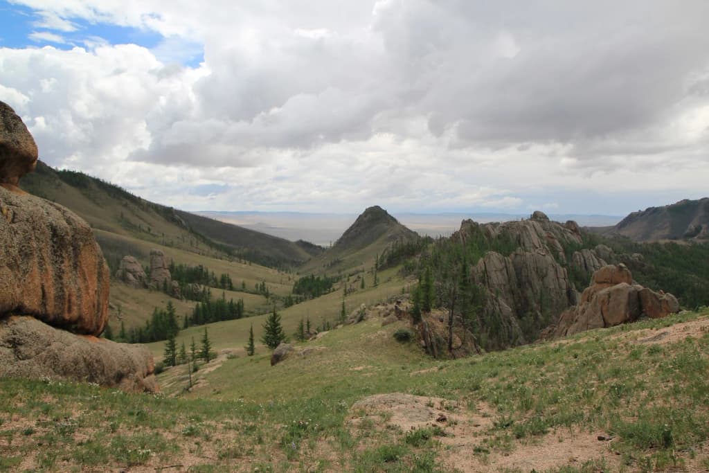 Traditional ger camp in a pine valley, horses grazing nearby