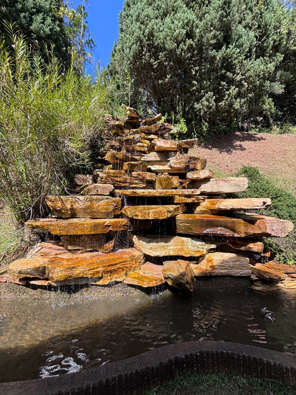 Jardim dos Pinhais Ecco Parque, jardim japonês com lago tranquilo