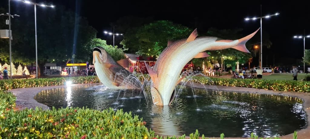 Crystal-clear river in Bonito, Brazil, with lush green forest