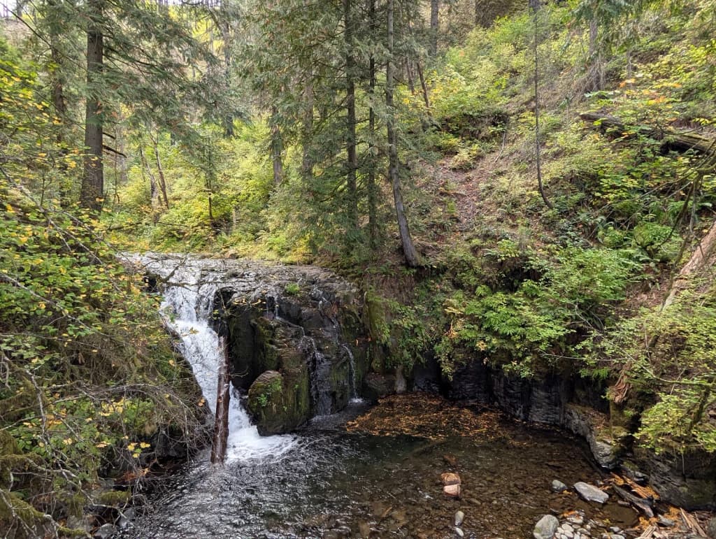 Close de duas pessoas compartilhando um segredo em um bar com pouca luz