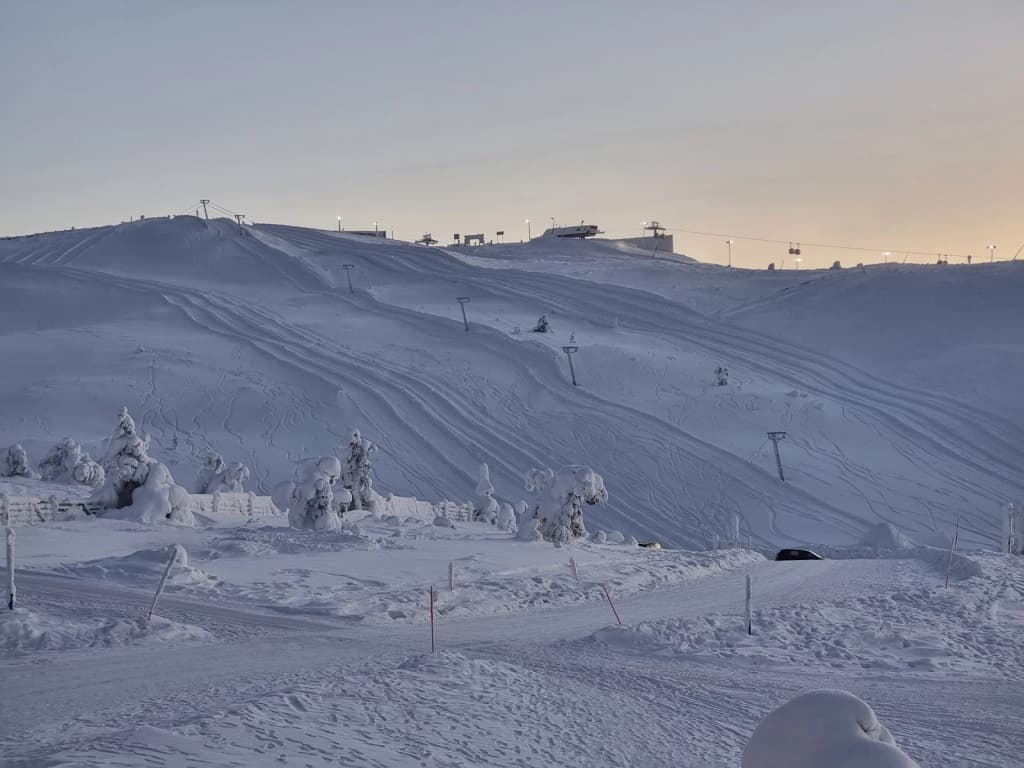 The northern lights swirling above a snowy Lapland landscape