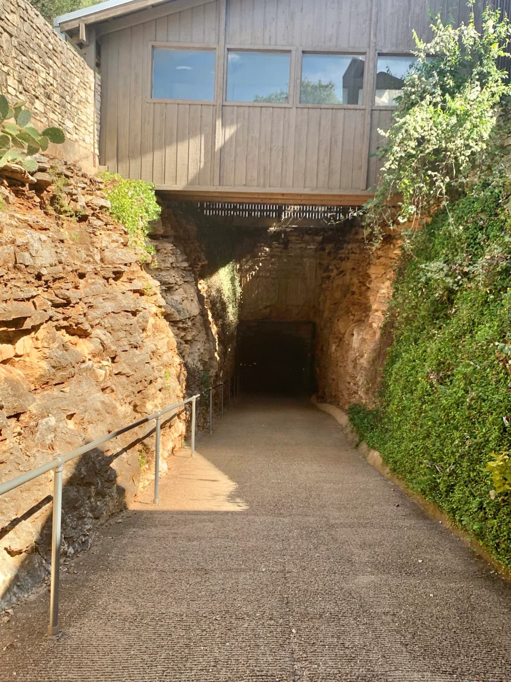 Hermanos explorando una ciudad juntos, mirando un mapa