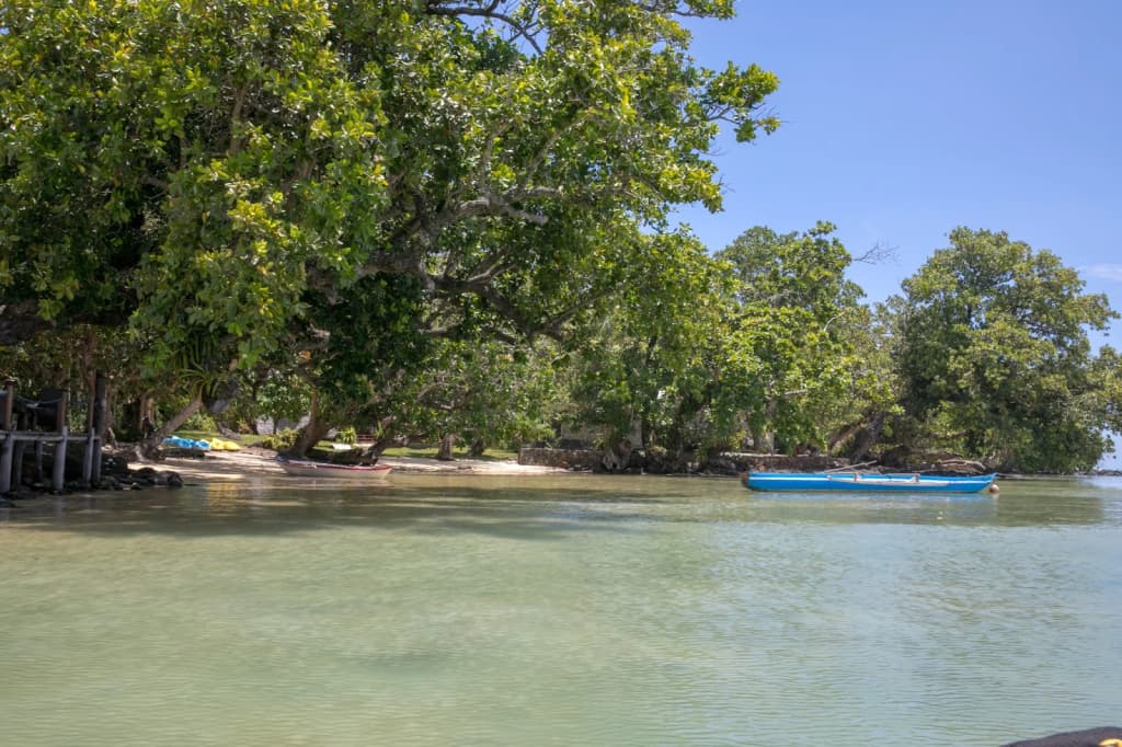 Avenue of the Baobabs at golden hour, Madagascar