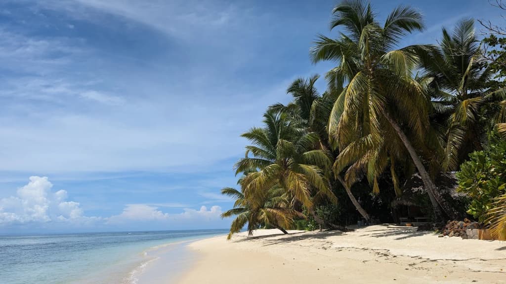 Baobab trees lining a red dirt road at sunset