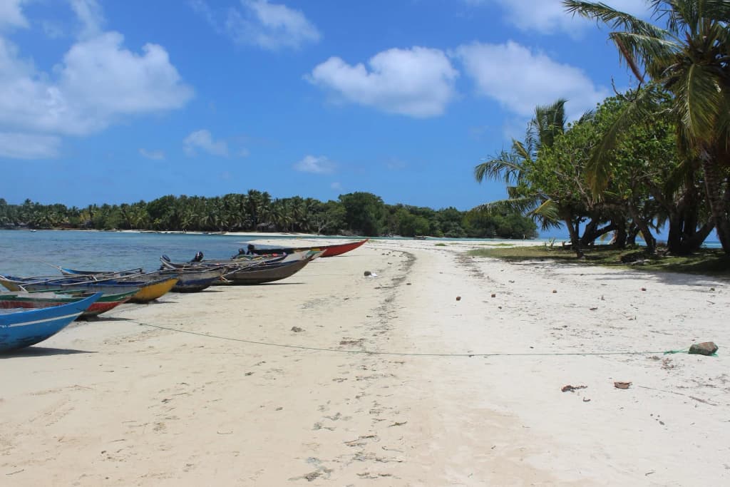 Jagged limestone formations of Tsingy de Bemaraha