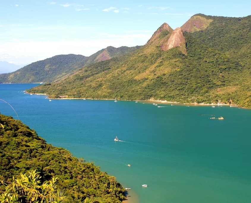 Palm trees and turquoise water at Praia Grande