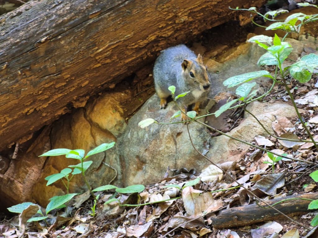 Gruta do Janelão - Photo by Alif Lima