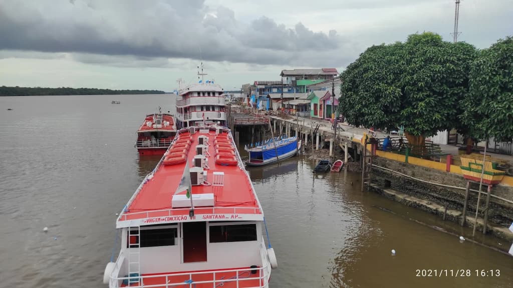 El colosal árbol Muralha empequeñece a los visitantes