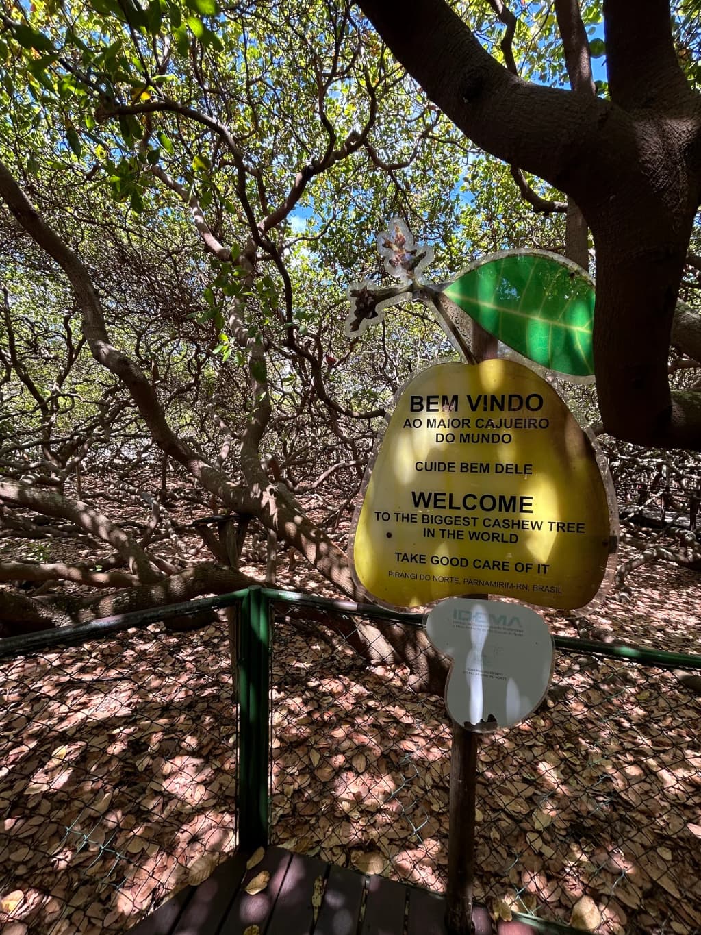 Dunas de Búzios, perfectas para el eskibunda