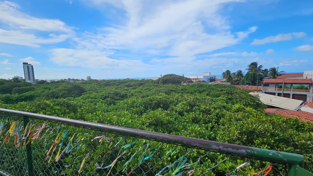 Maior cajueiro do Mundo - Photo by elielscott