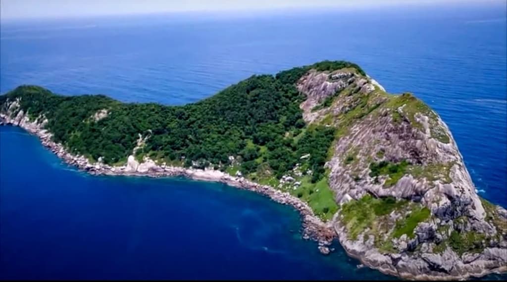 Snorkeler surrounded by colorful fish and a sea turtle in Noronha’s clear waters