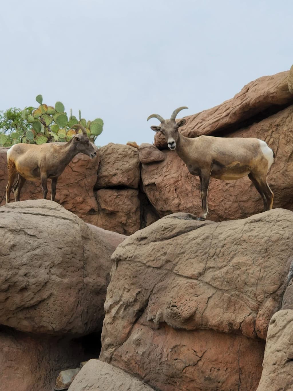 Undulating sandstone forms the surreal landscape of The Wave